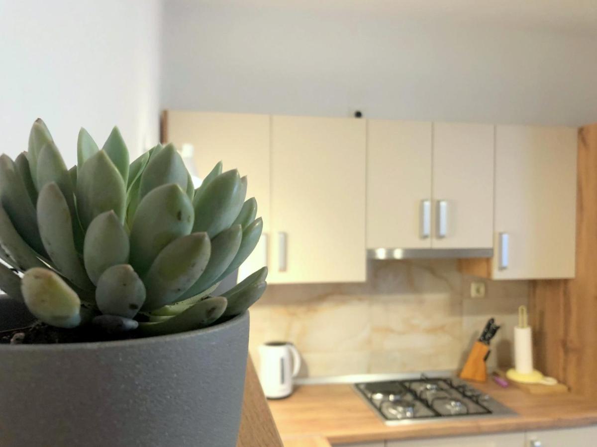 Zoro Apartments Palit Ngoại thất bức ảnh